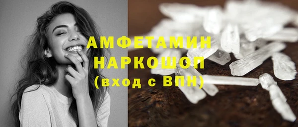 трава Ельня