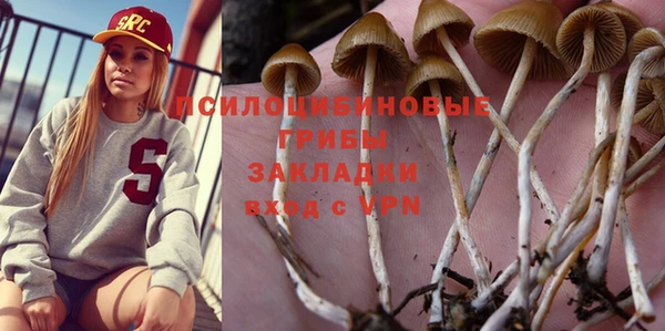шишки Елабуга