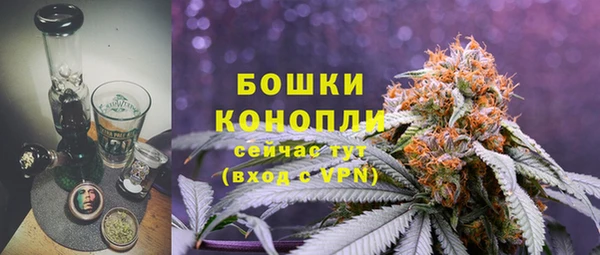 трава Ельня