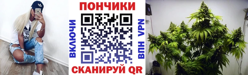 Канабис Bruce Banner Приозерск